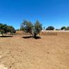 Parcela de 6.300 m2 con Casa a Reformar, Callejón Borreguito. Chiclana. Inversión junto Hotel Fuentemar