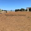 Parcela de 6.300 m2 con Casa a Reformar, Callejón Borreguito. Chiclana. Inversión junto Hotel Fuentemar