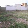 El puerto, Finca para promoción