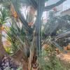 VENDIDO Chalet en Las Dehesillas 600 m2