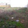 El puerto, Finca para promoción