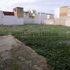 El puerto, Finca para promoción